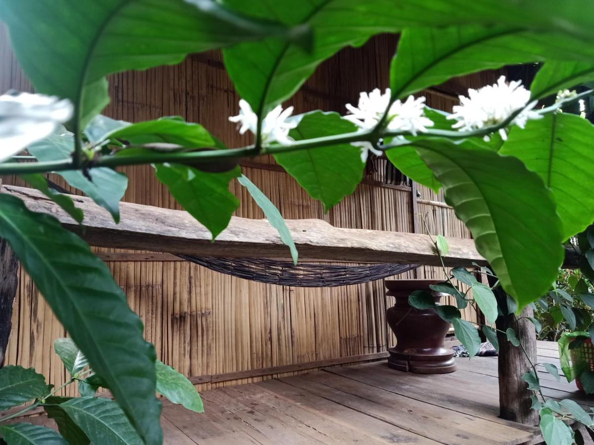 Tribal Village Homestay & Trekking Banlung Экстерьер фото